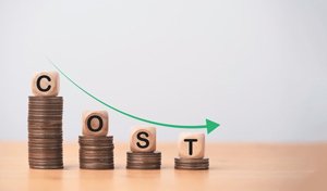 costs Costs