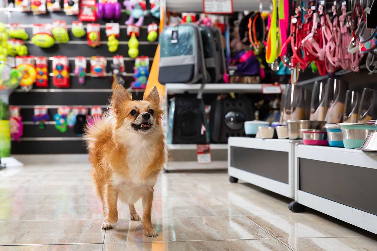pet store