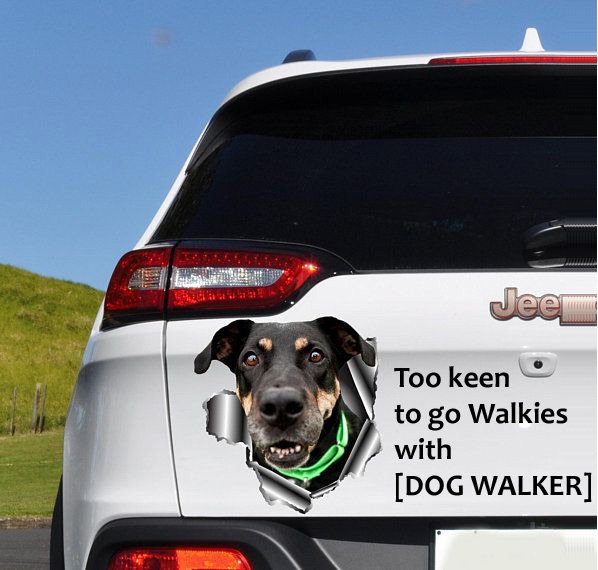 Car sticker Car sticker