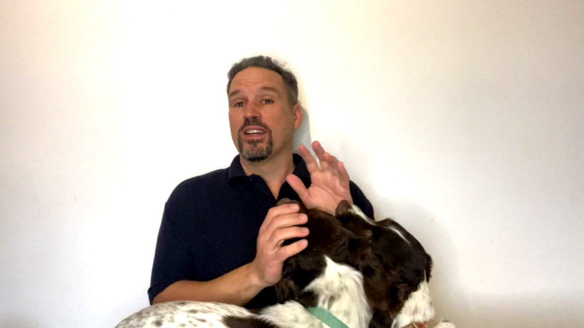 Dog-friendly family-holidays in France